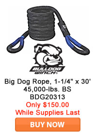 Save on BullDog Winch