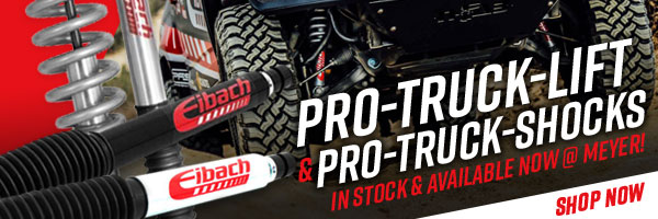 Eibach Pro-Truck Lifts and Shocks!