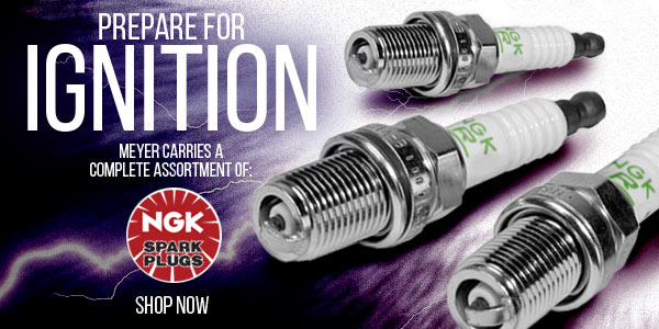 NGK Spark Plugs