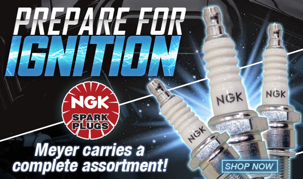 Save on NGK Spark Plugs