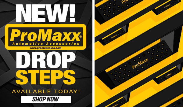 ProMaxx Drop Steps