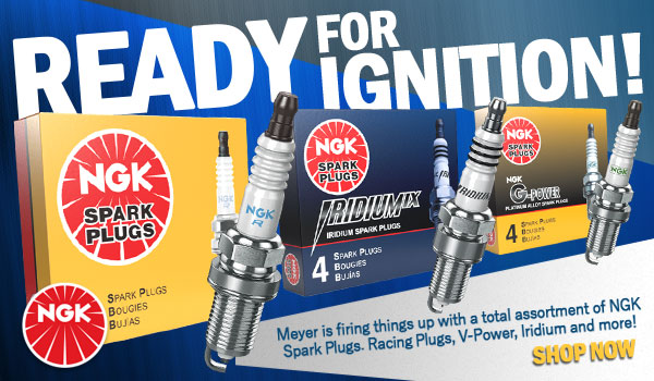 NGK Spark Plugs